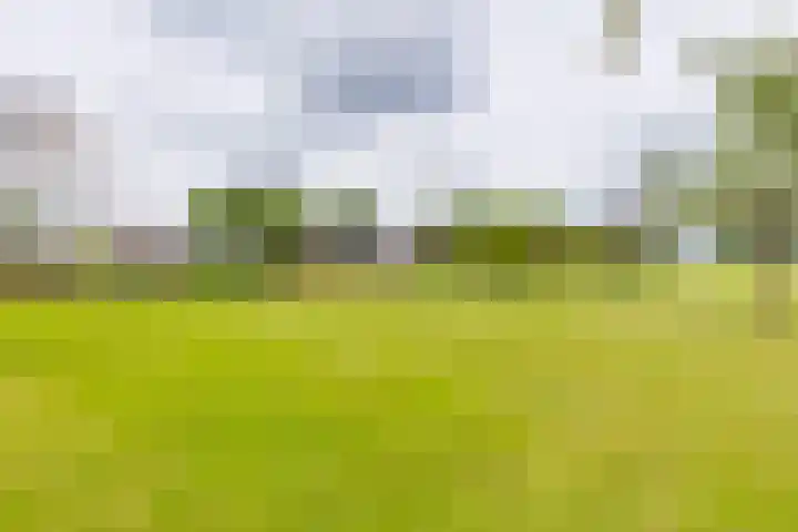 Masselinklaan 1 Sinderen thumbnail 55