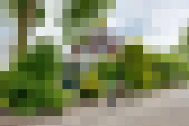 Masselinklaan 1 Sinderen thumbnail 6
