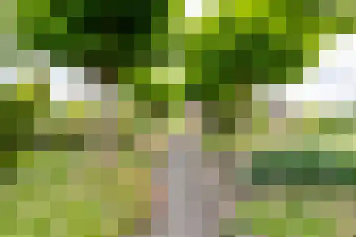 Masselinklaan 1 Sinderen thumbnail 64