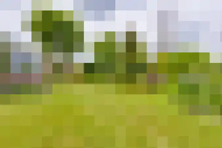 Masselinklaan 1 Sinderen thumbnail 67