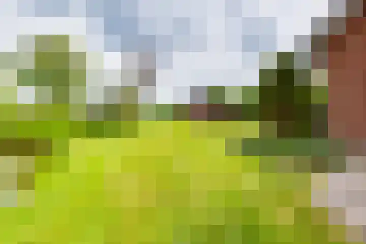 Masselinklaan 1 Sinderen thumbnail 68