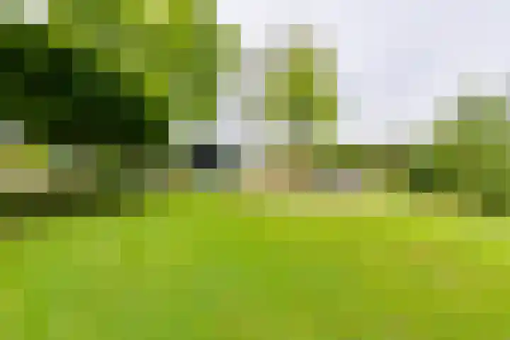 Masselinklaan 1 Sinderen thumbnail 69
