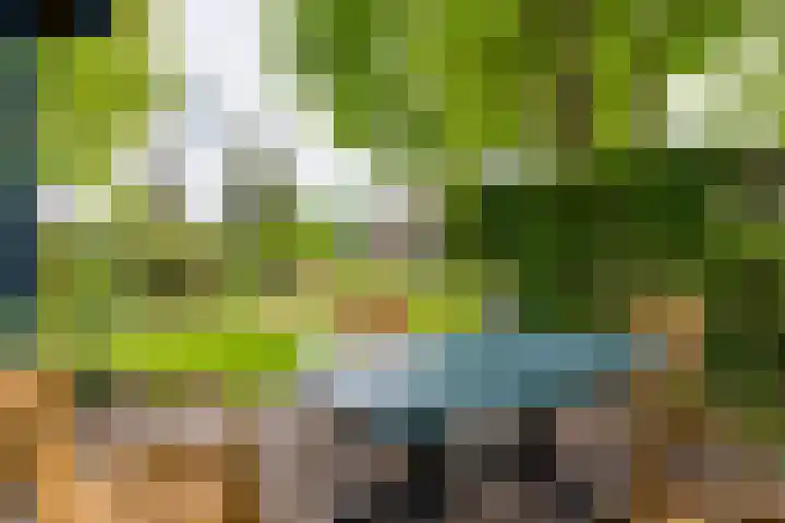 Masselinklaan 1 Sinderen thumbnail 70