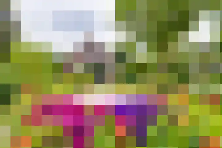 Masselinklaan 1 Sinderen thumbnail 71