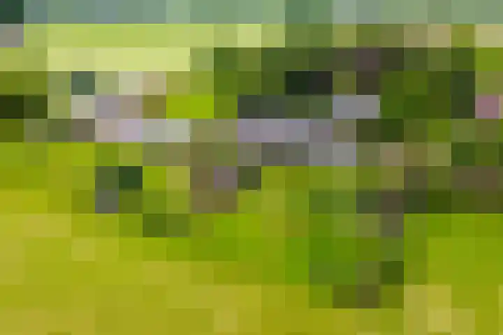 Masselinklaan 1 Sinderen thumbnail 72