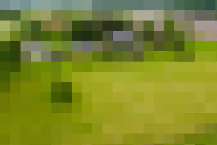 Masselinklaan 1 Sinderen thumbnail 73