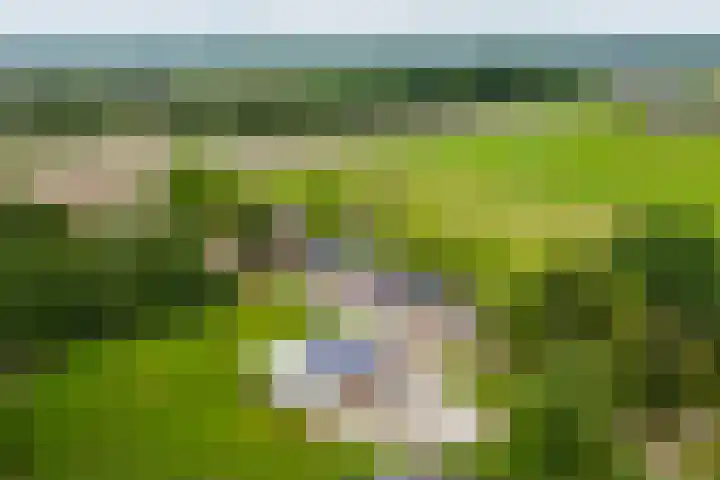 Masselinklaan 1 Sinderen thumbnail 74