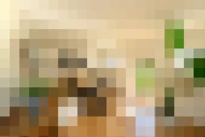 Masselinklaan 8 Sinderen thumbnail 13