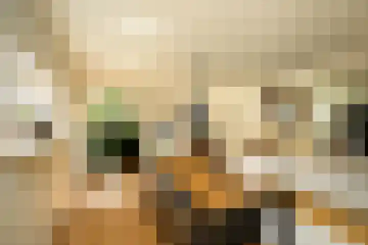 Masselinklaan 8 Sinderen thumbnail 14
