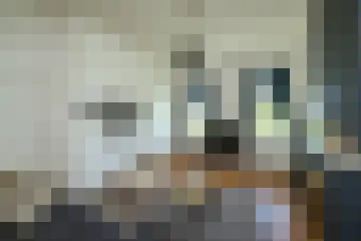 Masselinklaan 8 Sinderen thumbnail 15
