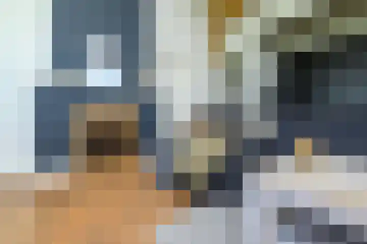 Masselinklaan 8 Sinderen thumbnail 16