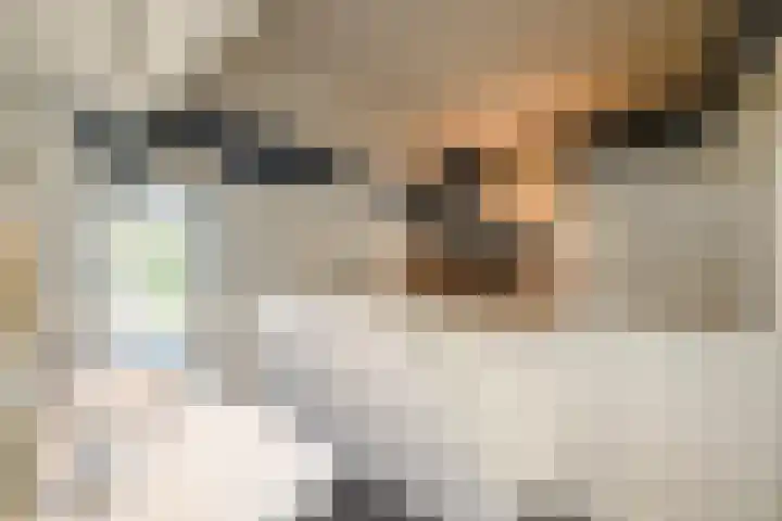 Masselinklaan 8 Sinderen thumbnail 21