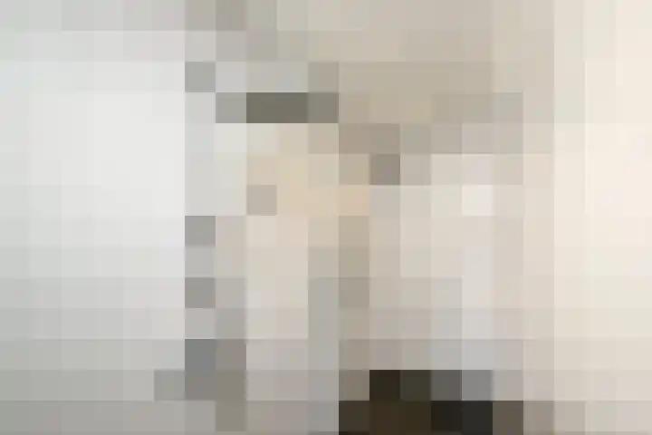 Masselinklaan 8 Sinderen thumbnail 23