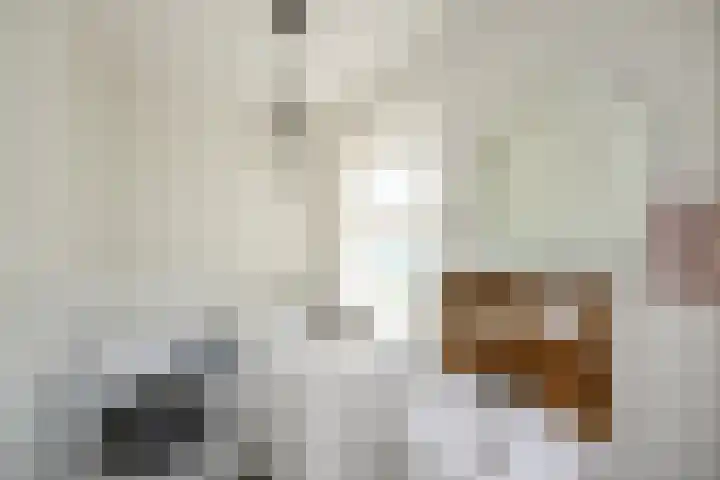 Masselinklaan 8 Sinderen thumbnail 28