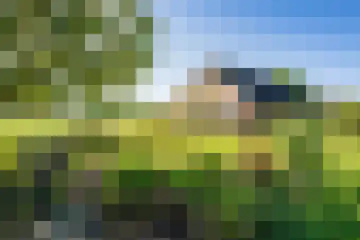 Masselinklaan 8 Sinderen foto 3