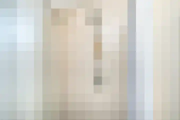 Masselinklaan 8 Sinderen thumbnail 31
