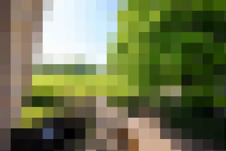 Masselinklaan 8 Sinderen thumbnail 34