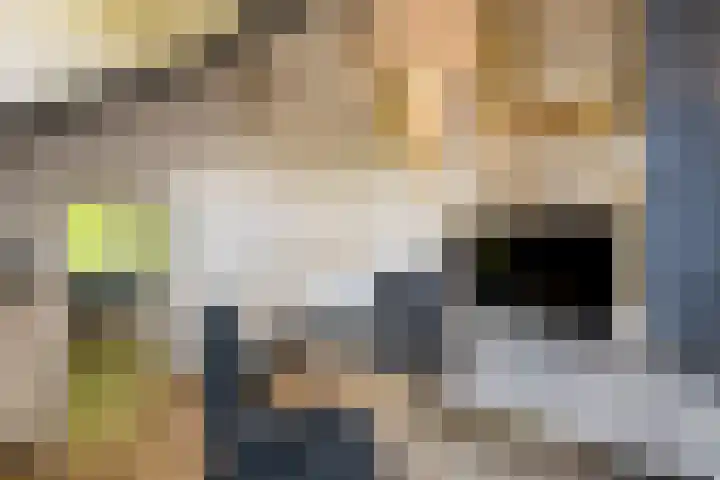 Masselinklaan 8 Sinderen thumbnail 35