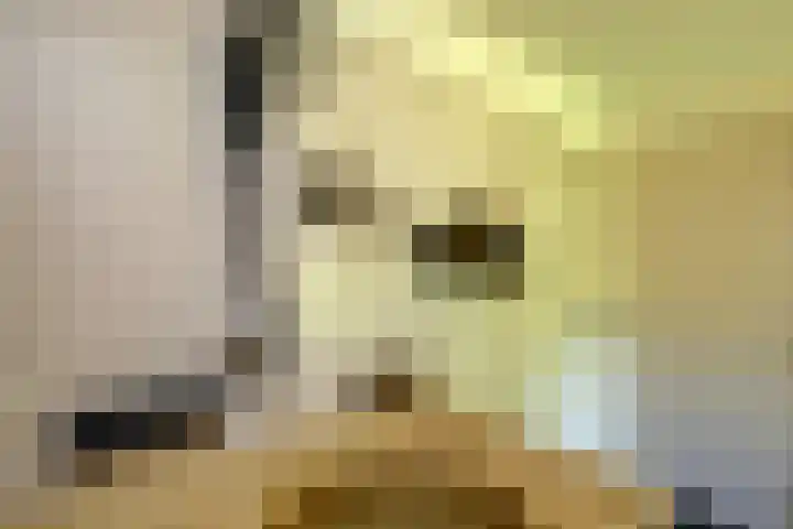 Masselinklaan 8 Sinderen thumbnail 36