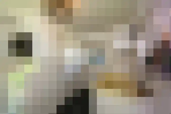 Masselinklaan 8 Sinderen thumbnail 37