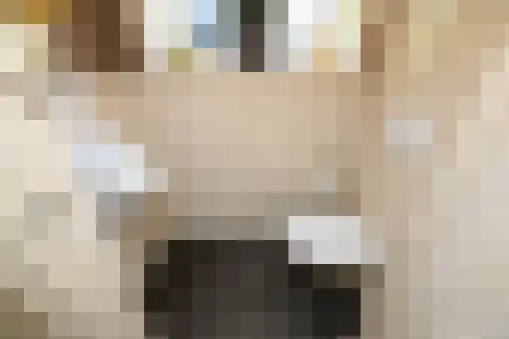 Masselinklaan 8 Sinderen thumbnail 38