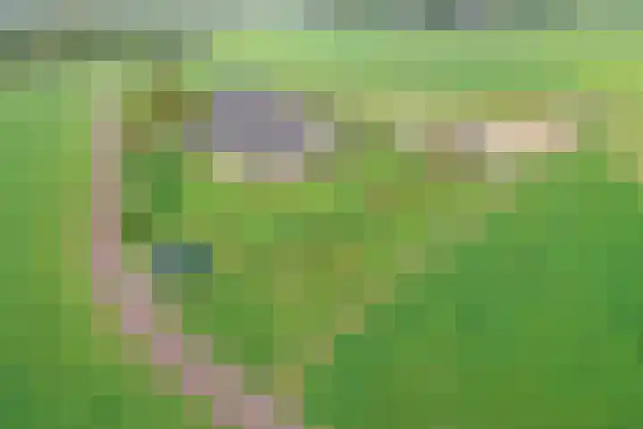 Masselinklaan 8 Sinderen thumbnail 4