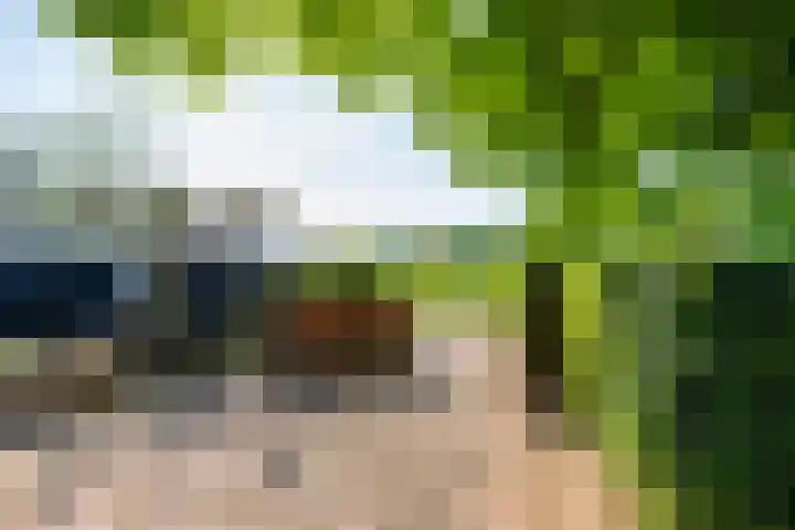 Masselinklaan 8 Sinderen thumbnail 41