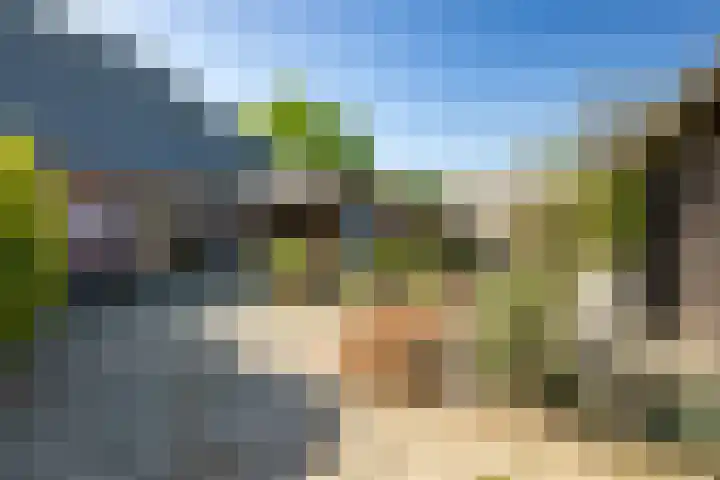Masselinklaan 8 Sinderen thumbnail 44
