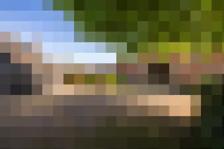 Masselinklaan 8 Sinderen thumbnail 46