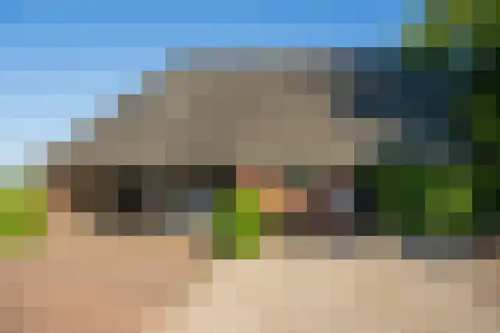 Masselinklaan 8 Sinderen thumbnail 48