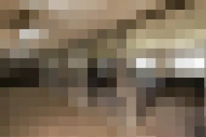 Masselinklaan 8 Sinderen thumbnail 50