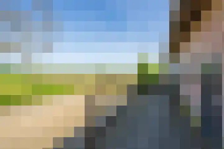 Masselinklaan 8 Sinderen thumbnail 51