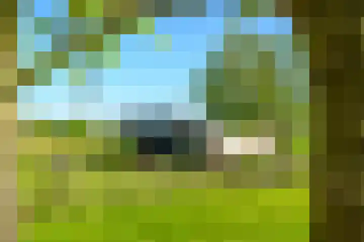 Masselinklaan 8 Sinderen thumbnail 52