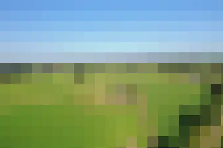 Masselinklaan 8 Sinderen thumbnail 55