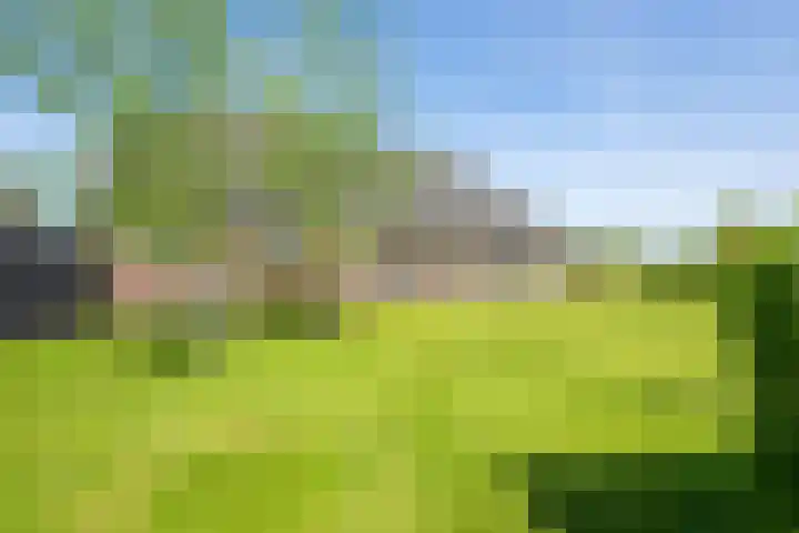 Masselinklaan 8 Sinderen thumbnail 58