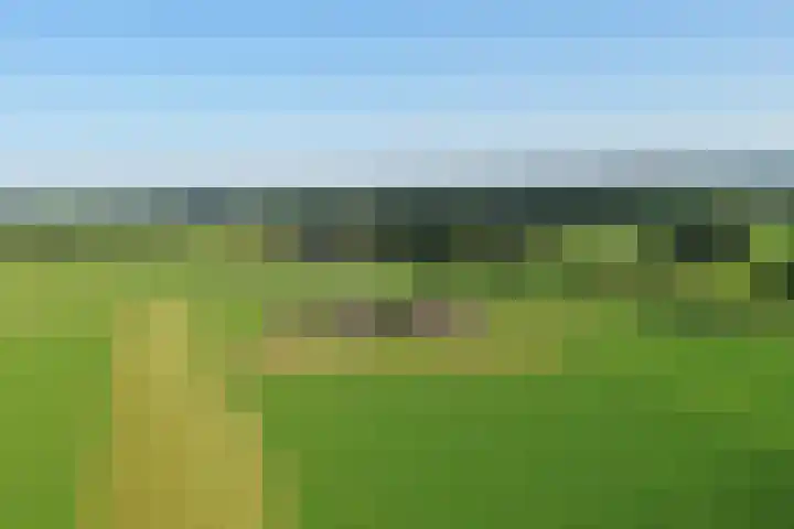 Masselinklaan 8 Sinderen thumbnail 59