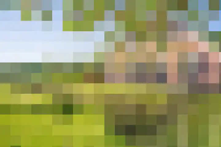 Masselinklaan 8 Sinderen thumbnail 60
