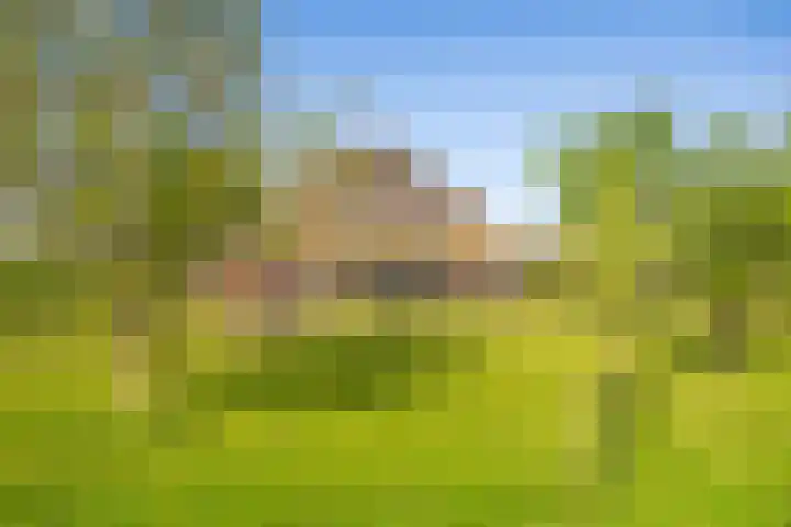 Masselinklaan 8 Sinderen thumbnail 61
