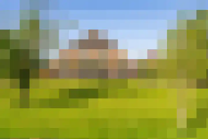 Masselinklaan 8 Sinderen thumbnail 63