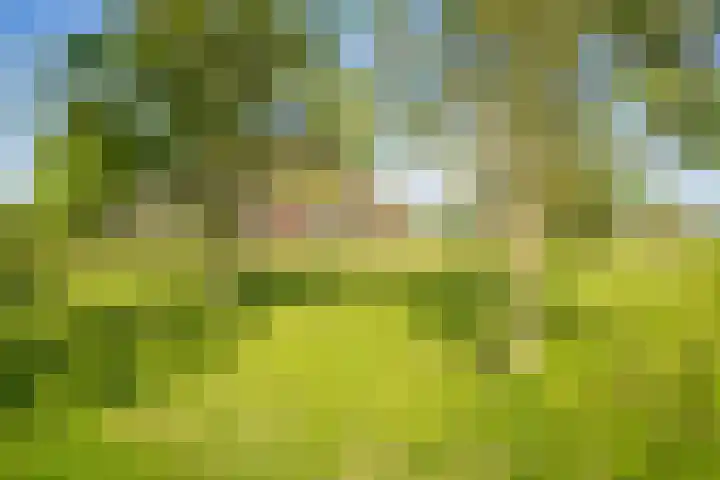 Masselinklaan 8 Sinderen thumbnail 64