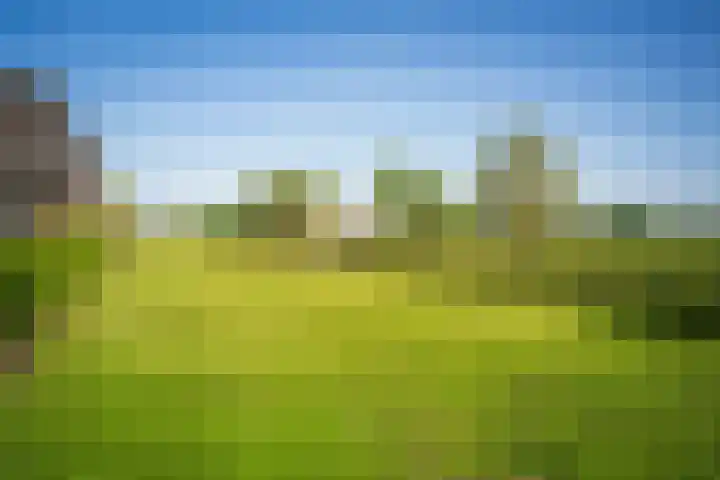 Masselinklaan 8 Sinderen thumbnail 65