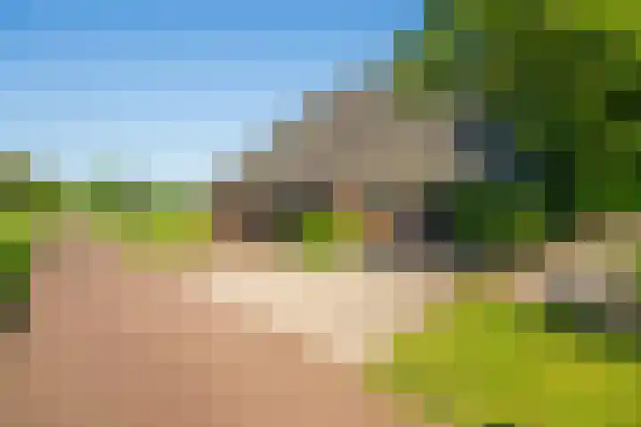 Masselinklaan 8 Sinderen thumbnail 66
