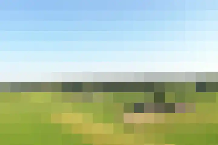 Masselinklaan 8 Sinderen thumbnail 68