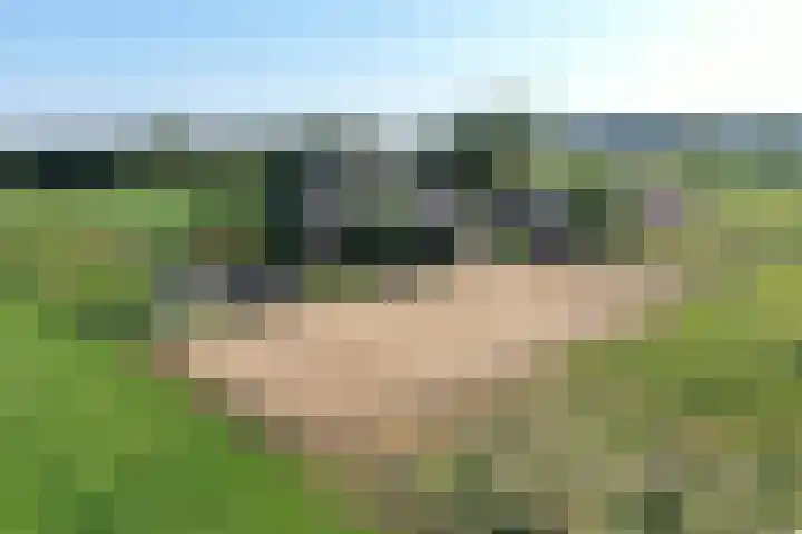 Masselinklaan 8 Sinderen thumbnail 69