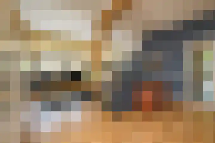 Masselinklaan 8 Sinderen thumbnail 7