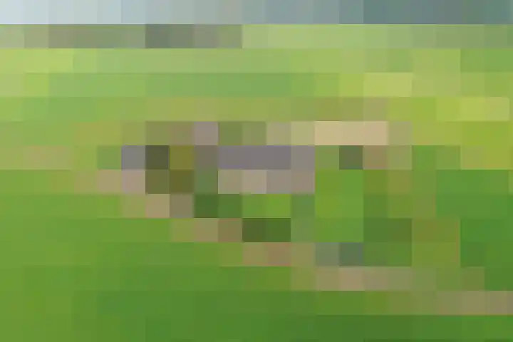 Masselinklaan 8 Sinderen thumbnail 70