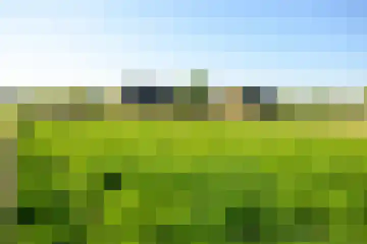 Masselinklaan 8 Sinderen thumbnail 71