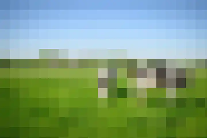Masselinklaan 8 Sinderen thumbnail 72