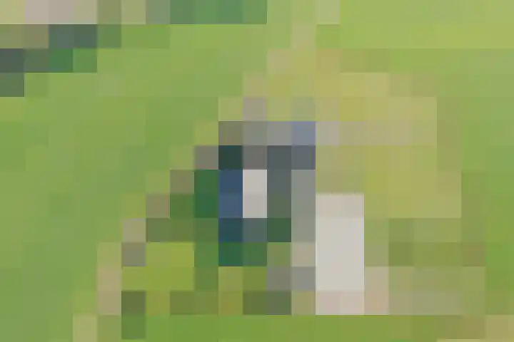 Masselinklaan 8 Sinderen thumbnail 73