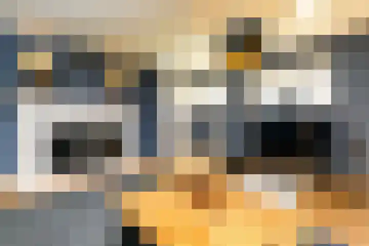 Masselinklaan 8 Sinderen thumbnail 9